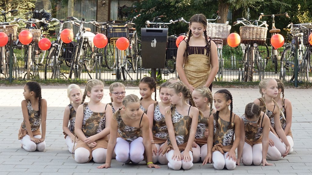 Schoolplein Festival A125.jpg